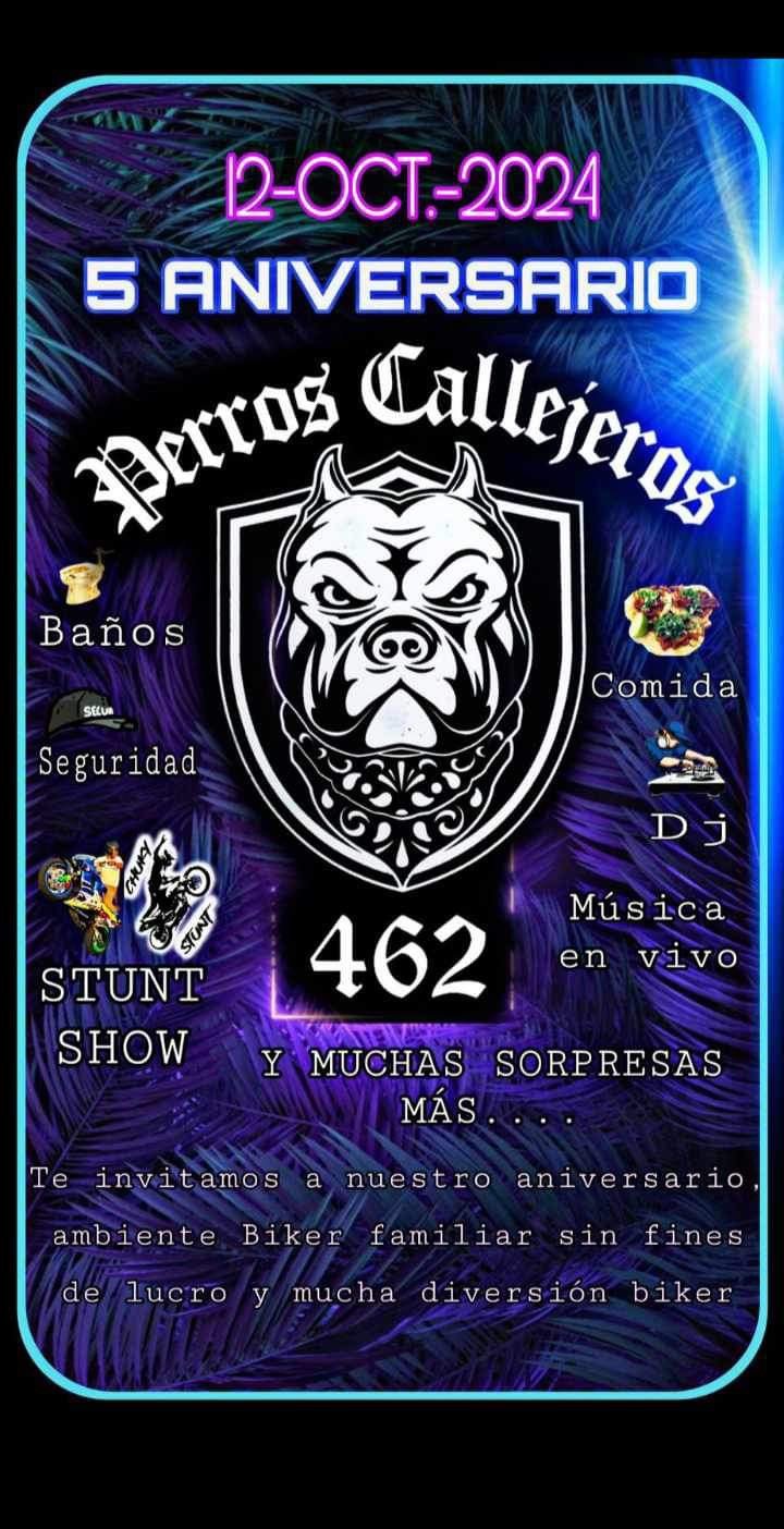 5to aniversario perros callejeros 462 m. c.